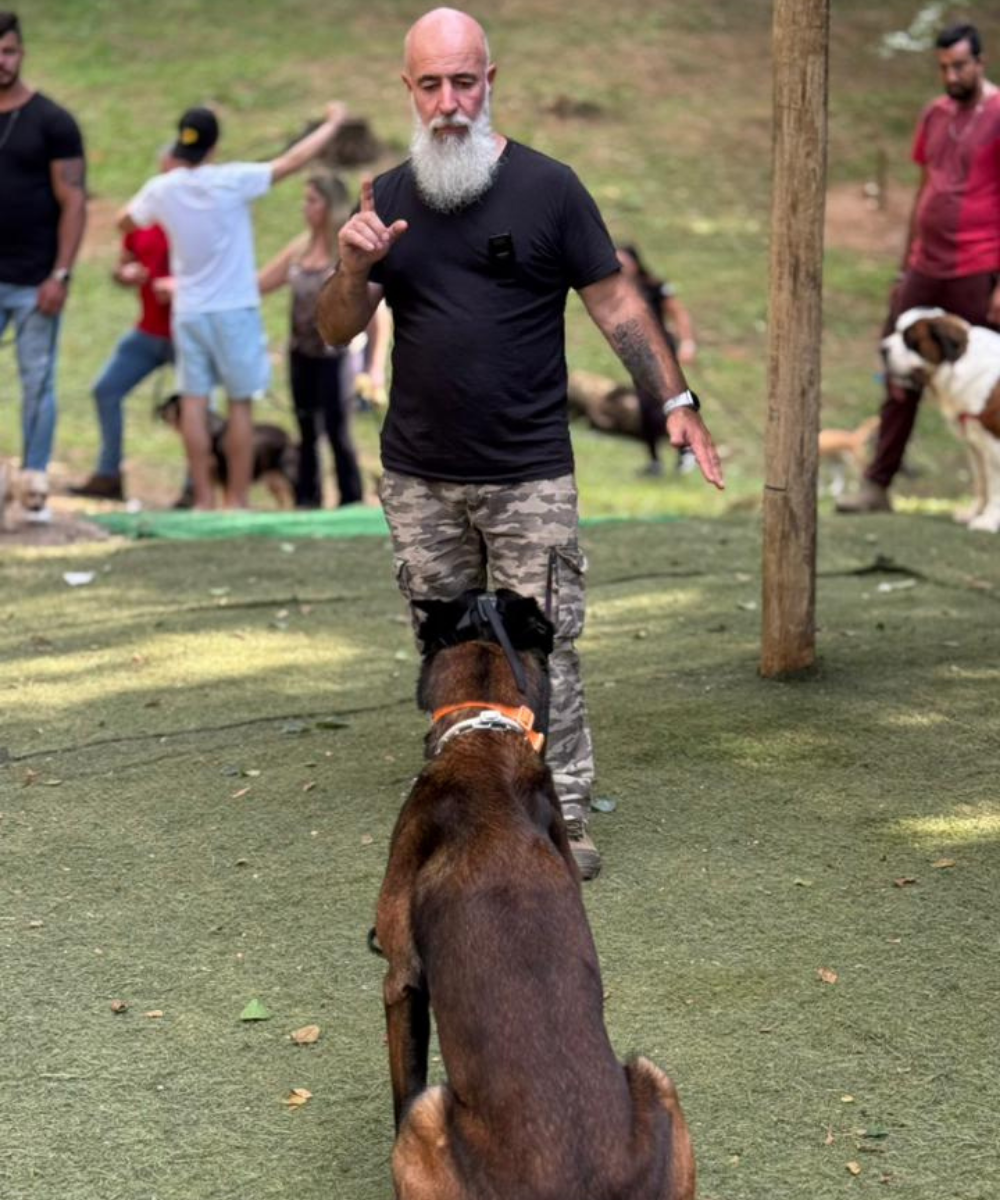 img1